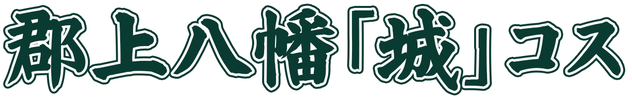 郡上八幡「城」コス